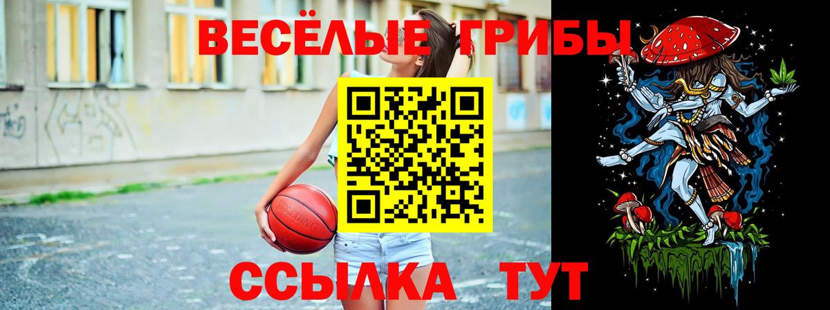 Волжский  Галлюциногенные грибы Psilocybe  Вход с VPN 